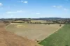 - Coates Creek Road, Manildra, NSW 2865-Image