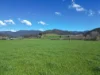 Corner Little Snowy Creek Road, Eskdale, Vic 3701-Image