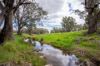 'Cronga Peak' 157 Cronga Peak Road, Molong NSW 2866-Image