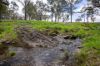 'Cronga Peak' 157 Cronga Peak Road, Molong NSW 2866-Image