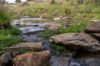 'Cronga Peak' 157 Cronga Peak Road, Molong NSW 2866-Image