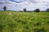 'Cronga Peak' 157 Cronga Peak Road, Molong NSW 2866-Image