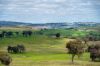 'Cronga Peak' 157 Cronga Peak Road, Molong NSW 2866-Image