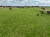 'Cronga Peak' 157 Cronga Peak Road, Molong NSW 2866-Image