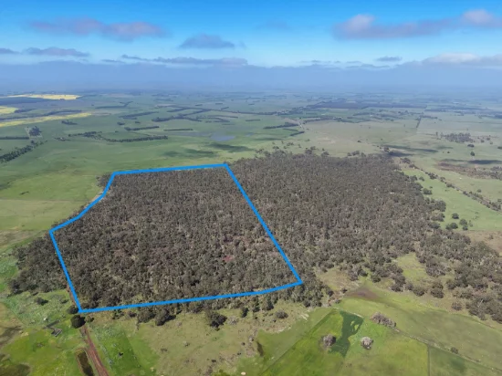 - Delaney's Road, Buckley Swamp, Vic 3301