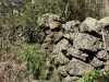 - Delaney's Road, Buckley Swamp, Vic 3301-Image