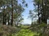 - Delaney's Road, Buckley Swamp, Vic 3301-Image