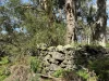 - Delaney's Road, Buckley Swamp, Vic 3301-Image