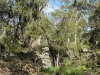 - Delaney's Road, Buckley Swamp, Vic 3301-Image