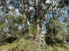 - Delaney's Road, Buckley Swamp, Vic 3301-Image