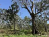 - Delaney's Road, Buckley Swamp, Vic 3301-Image