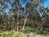 - Delaney's Road, Buckley Swamp, Vic 3301-Image