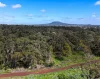 - Delaney's Road, Buckley Swamp, Vic 3301-Image
