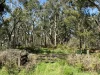 - Delaney's Road, Buckley Swamp, Vic 3301-Image