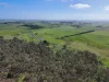 - Delaney's Road, Buckley Swamp, Vic 3301-Image