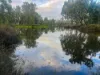 Dooney's Burnett Highway, Dixalea QLD 4702-Image