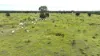 Dooney's Burnett Highway, Dixalea QLD 4702-Image