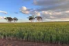 Dragon Rocks Road, Lake Biddy, WA 6355-Image