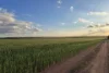 Dragon Rocks Road, Lake Biddy, WA 6355-Image