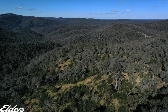 Duffy Road, Briagolong, Vic 3860 - For Sale