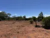 * Dutchmans Hutt, Hermidale, NSW 2831-Image