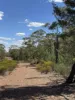 * Dutchmans Hutt, Hermidale, NSW 2831-Image