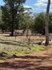 * Dutchmans Hutt, Hermidale, NSW 2831-Image