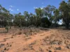 * Dutchmans Hutt, Hermidale, NSW 2831-Image