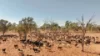 'East Top' Bygana Laglan Road, Clermont QLD 4721-Image