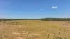 'Eastlands' Adams Road, Duaringa QLD 4712-Image