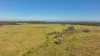 'Eastlands' Adams Road, Duaringa QLD 4712-Image