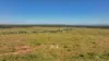 'Eastlands' Adams Road, Duaringa QLD 4712-Image