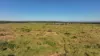 'Eastlands' Adams Road, Duaringa QLD 4712-Image