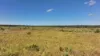 'Eastlands' Adams Road, Duaringa QLD 4712-Image