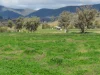 "Elstern" 1872 Old Winton Road, Winton, NSW 2344-Image