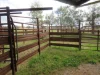 "Elstern" 1872 Old Winton Road, Winton, NSW 2344-Image