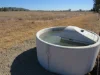 "Elstern" 1872 Old Winton Road, Winton, NSW 2344-Image