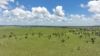 "Fishpond" Casuarina Road, Midgee QLD 4702-Image