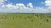 "Fishpond" Casuarina Road, Midgee QLD 4702-Image