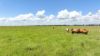 "Fishpond" Casuarina Road, Midgee QLD 4702-Image