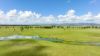 "Fishpond" Casuarina Road, Midgee QLD 4702-Image