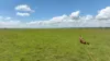 "Fishpond" Casuarina Road, Midgee QLD 4702-Image