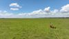 "Fishpond" Casuarina Road, Midgee QLD 4702-Image