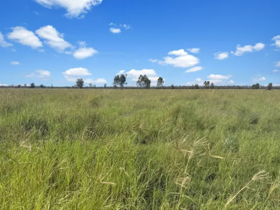 " Four Bar", Dalby, Qld 4405