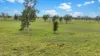 " Four Bar", Dalby, Qld 4405-Image