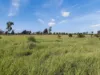 " Four Bar", Dalby, Qld 4405-Image