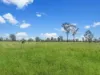" Four Bar", Dalby, Qld 4405-Image