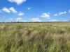 " Four Bar", Dalby, Qld 4405-Image