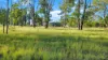 " Four Bar", Dalby, Qld 4405-Image