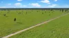 " Four Bar", Dalby, Qld 4405-Image